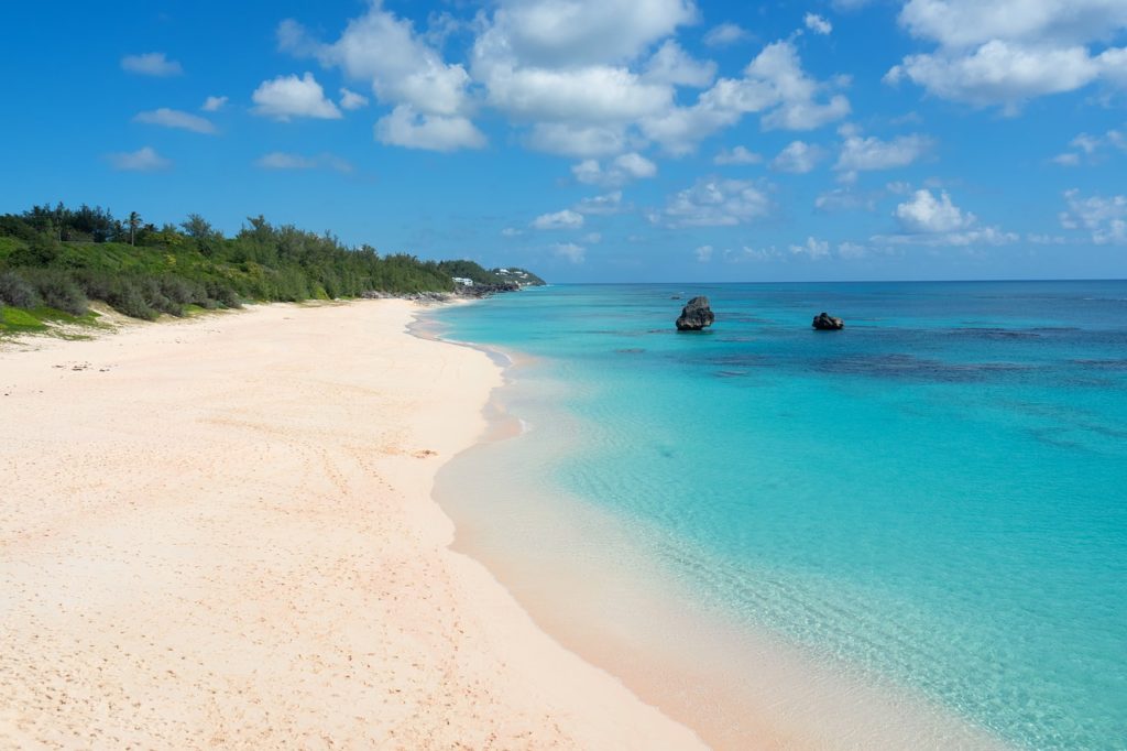 Pink Sand Beach Bahamas