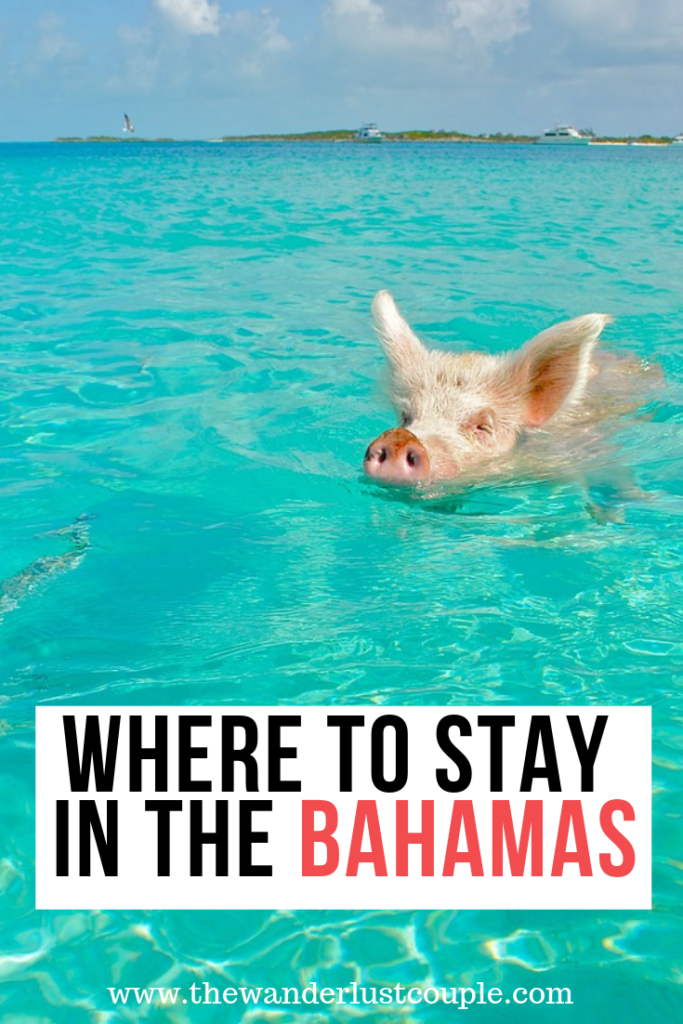 Where to Stay in the Bahamas Pinterest Graphic