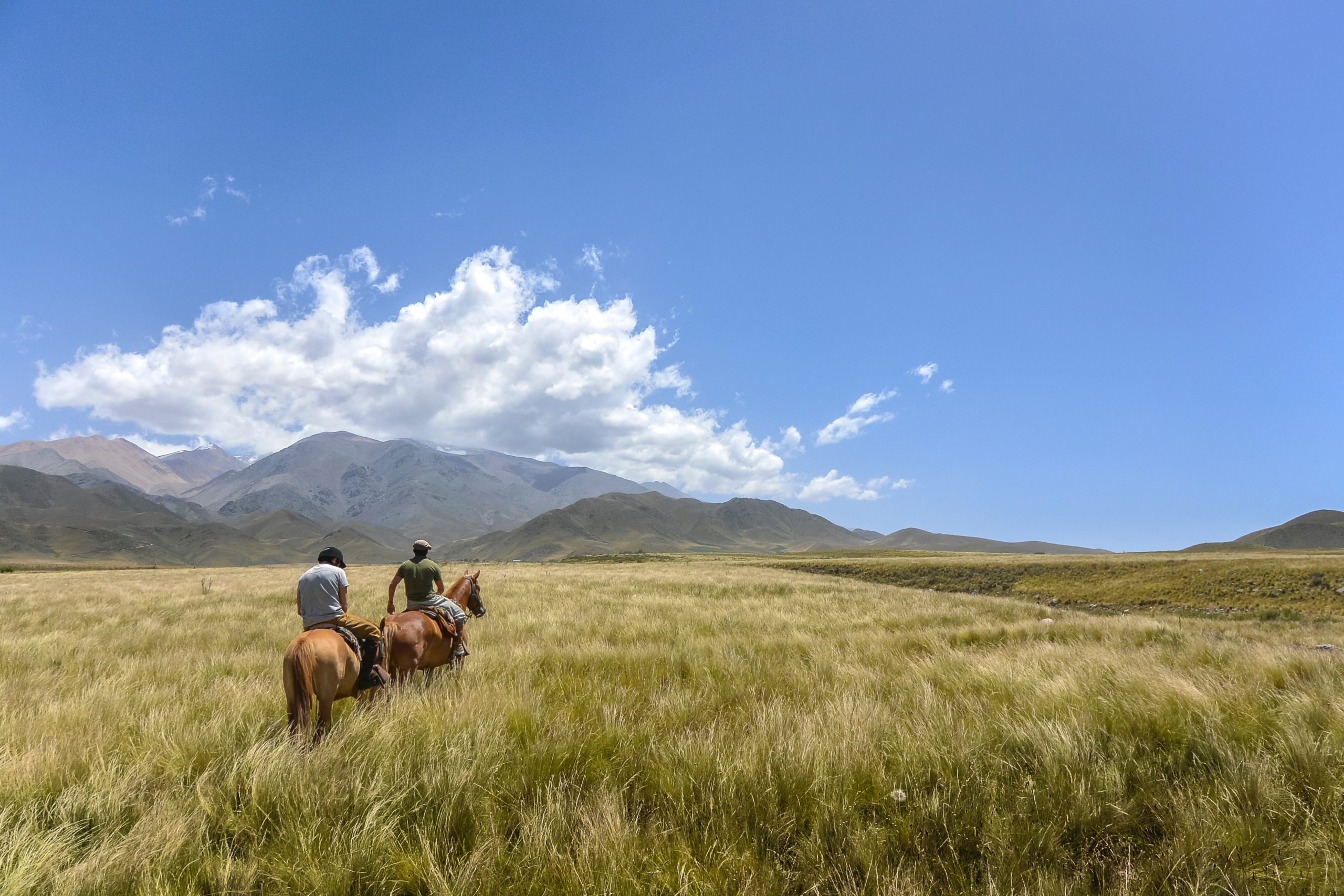 9 Dude Ranches You Need to Visit in the USA